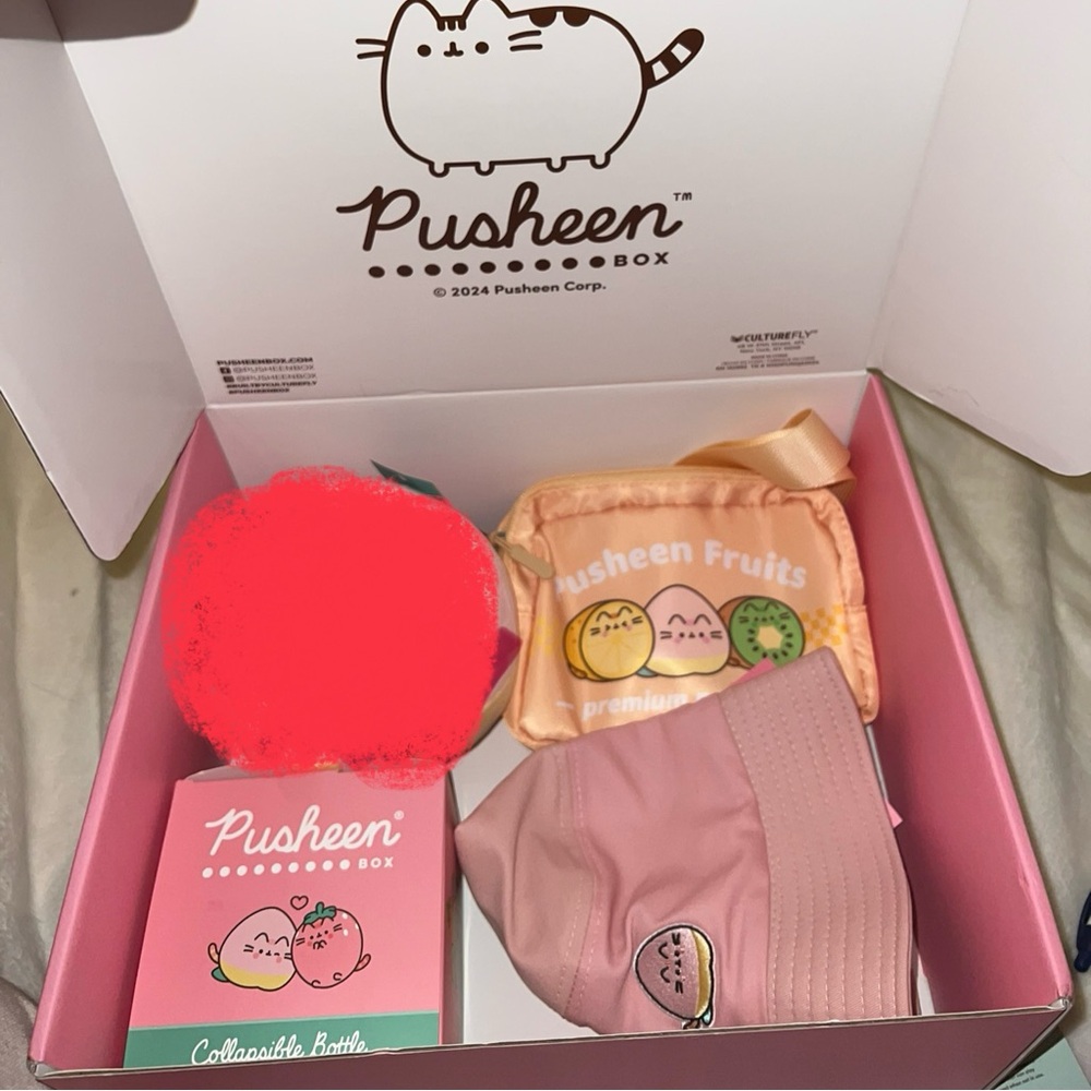 Pusheen box summer 2024